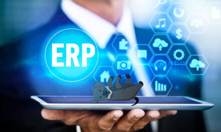 Implementación exitosa de un ERP