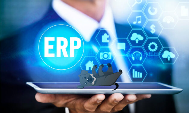Implementación exitosa de un ERP